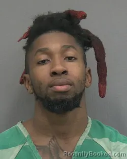 Mugshot of JOHNNIE LEWIS ELLIS booked in Alachua County, Florida on March 11, 2026