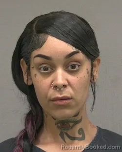 Mugshot of JAHLISHA ANN LEWIS booked in Alachua County, Florida on June 7, 2026