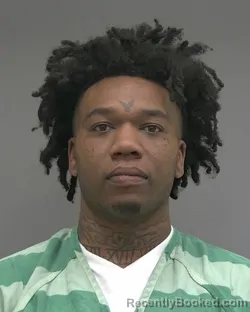 Mugshot of SAMONTA LEONDRE JAMES booked in Alachua County, Florida on March 20, 2026