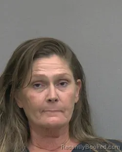 Mugshot of CYNTHIA D MCEACHIN booked in Alachua County, Florida on May 23, 2026