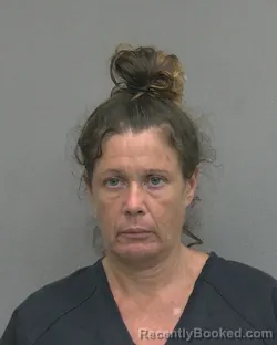 Mugshot of AMY CONSTANCE GREINER booked in Alachua County, Florida on July 16, 2026