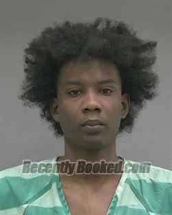 Booking photo from Alachua County, Florida