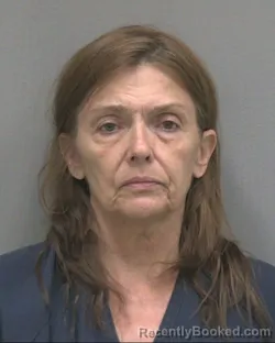 Mugshot of Michelle Lynne Jackson booked in Alachua County, Florida on September 4, 2026