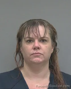 Mugshot of NATASHA LAUREN RAMOS booked in Alachua County, Florida on July 26, 2026