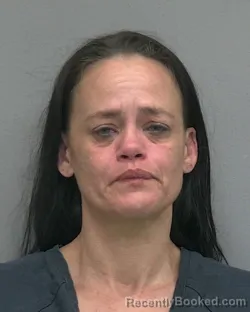 Mugshot of DAWN MARIE WILLIAMS