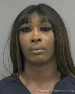 Mugshot of SHAKAYLA ELEASE PALMER booked in Alachua County, Florida on April 24, 2026