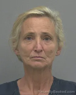 Mugshot of Hellen R Satterfield booked in Alachua County, Florida on August 25, 2026