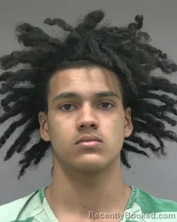 Booking photo from Alachua County, Florida