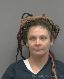 Mugshot of ALYSSA BRIANNE HODGE booked in Alachua County, Florida on July 9, 2026