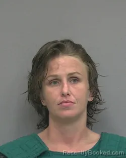 Mugshot of VEDA MICHELLE DEGIULIO booked in Alachua County, Florida on July 12, 2026