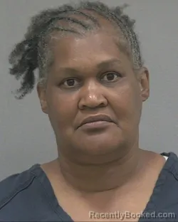 Mugshot of Angela Renee Hill booked in Alachua County, Florida on August 21, 2026