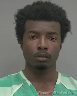 Mugshot of SAVALAS LEATON LEE booked in Alachua County, Florida on March 20, 2026