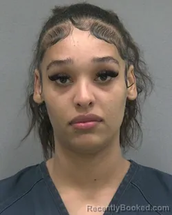 Mugshot of IYONNA LEEANN ALEXANDER booked in Alachua County, Florida on April 24, 2026