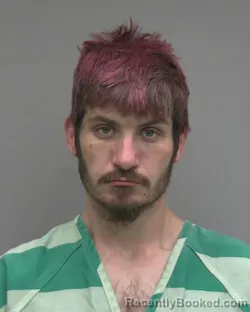 Mugshot of CASEY STUART RICE booked in Alachua County, Florida on April 2, 2026