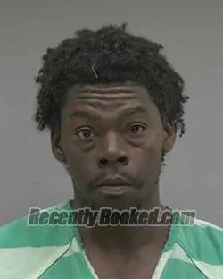 Booking photo from Alachua County, Florida