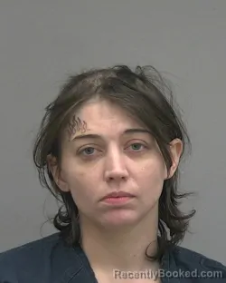 Booking photo from Alachua County, Florida