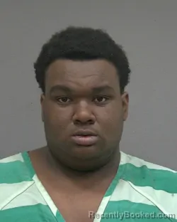 Mugshot of DORIAN FORTUNDIA WILLIAMS FRYER