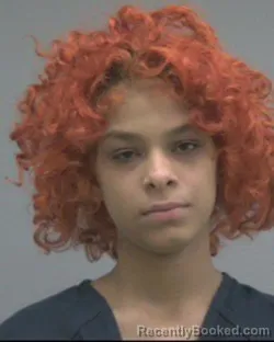 Mugshot of AJAYIAH SHIANN LOFTON booked in Alachua County, Florida on March 22, 2026