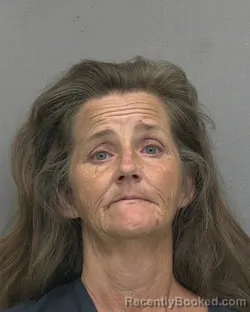Mugshot of GRACE HOPE COLLETT booked in Alachua County, Florida on June 15, 2026