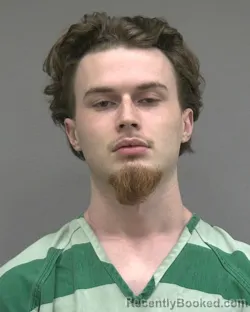 Mugshot of TRAVIS JAMES WHEELER booked in Alachua County, Florida on April 1, 2026