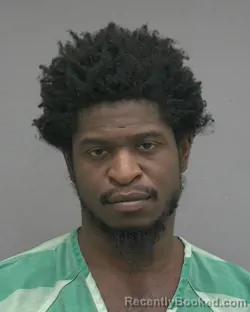 Mugshot of DAVID DARRELL TOLBERT booked in Alachua County, Florida on June 3, 2026