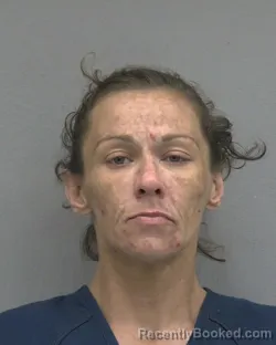 Mugshot of ELIZABETH SARAH BISHOP booked in Alachua County, Florida on June 29, 2026