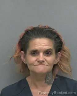 Mugshot of DAWN MARIE BURGESS booked in Alachua County, Florida on May 15, 2026
