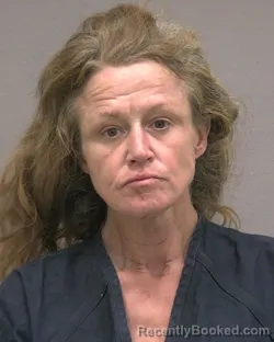 Mugshot of MELISSA SUE DOBBS booked in Alachua County, Florida on April 1, 2026