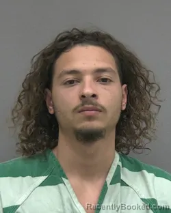 Mugshot of DION LEE RIVERA