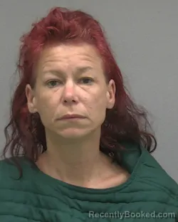 Booking photo from Alachua County, Florida