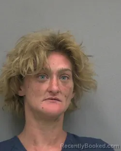Mugshot of BLAKE MARCELLA ARRENDALE booked in Alachua County, Florida on July 23, 2026