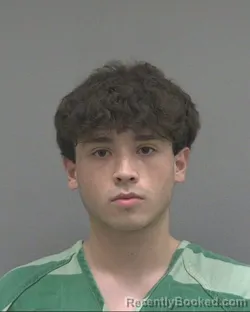 Mugshot of Adyn Blu Aragon booked in Alachua County, Florida on August 29, 2026