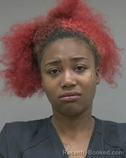 Mugshot of BEYOUNCE' LATOYA ROBINSON booked in Alachua County, Florida on April 26, 2026