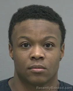 Mugshot of SHAKIRA MONIQUE BOSTICK booked in Alachua County, Florida on March 24, 2026