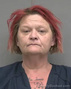 Mugshot of LYNETTE MARIE GENTRY JAMES booked in Alachua County, Florida on April 1, 2026