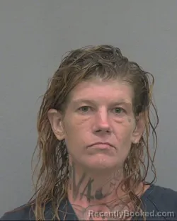 Mugshot of Megan Wright Jones booked in Alachua County, Florida on September 4, 2026