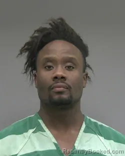 Mugshot of WESLY MENARD