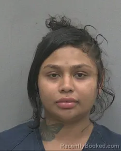 Mugshot of Priscilla Beatriz Figueroa booked in Alachua County, Florida on September 15, 2026