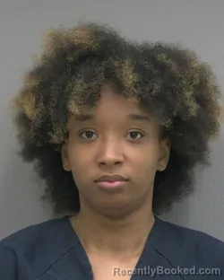 Mugshot of AMYA TYBREE RICHARDSON booked in Alachua County, Florida on March 12, 2026