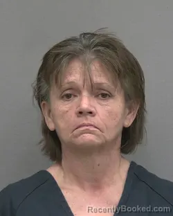 Mugshot of SANDY TERESA TAYLOR booked in Alachua County, Florida on May 29, 2026