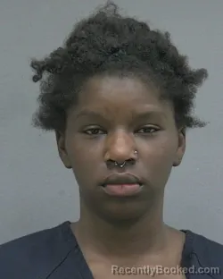 Mugshot of IVEYANNA NIKIA WIMS booked in Alachua County, Florida on June 2, 2026