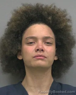 Mugshot of OLIVIA ELISE PERDUE booked in Alachua County, Florida on June 7, 2026