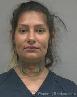 Mugshot of JASMINE NORMA TORREZ booked in Alachua County, Florida on July 6, 2026