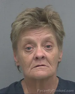 Mugshot of Shelley Ann Mcnatt booked in Alachua County, Florida on August 31, 2026