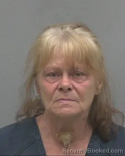 Mugshot of Angela Lyn Newman booked in Alachua County, Florida on September 5, 2026
