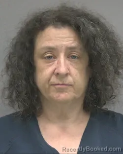 Mugshot of Natalie Jean Higginbotham booked in Alachua County, Florida on August 17, 2026
