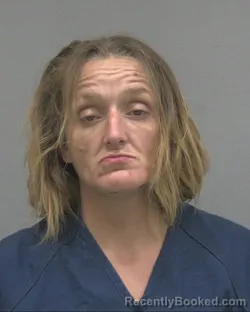 Mugshot of Deanna Chantelle Johnson booked in Alachua County, Florida on August 26, 2026