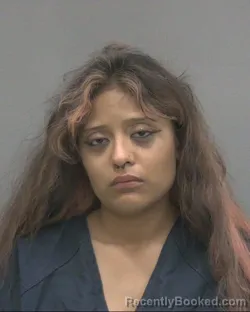 Mugshot of Rebecca Lopez booked in Alachua County, Florida on October 10, 2026