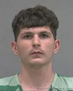 Mugshot of Tristan J Witt booked in Alachua County, Florida on October 13, 2026