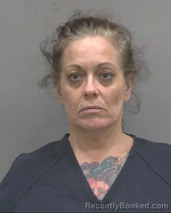 Mugshot of Melanie A Hawkins booked in Alachua County, Florida on October 28, 2026